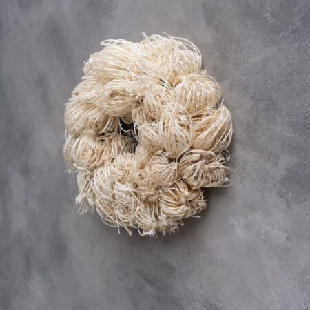 UNIK.HUS Couronne Naturkranz ammi majus wreath bleached 28 cm
