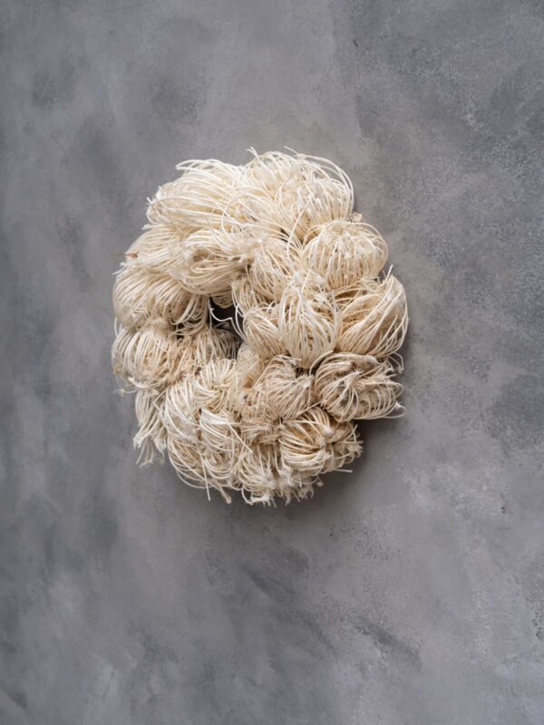 UNIK.HUS Couronne Naturkranz ammi majus wreath bleached 28 cm