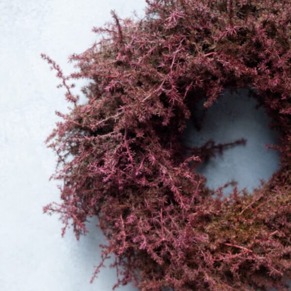 UNIK.HUS Couronne Naturkranz Asparagus bordeaux Weihnachtskranz Adventskranz