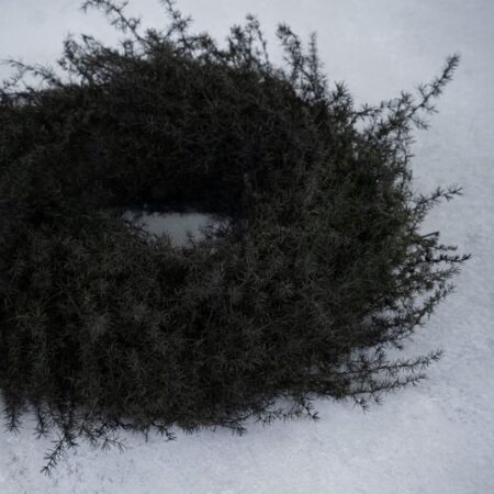 UNIK.HUS Couronne Naturkranz Asparagus schwarz Weihnachtskranz Adventskranz