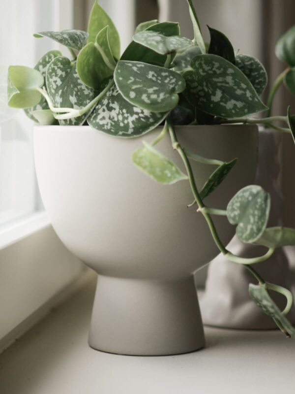 UNIK.HUS dbkd figure mole small Blumentopf Übertopf Topf